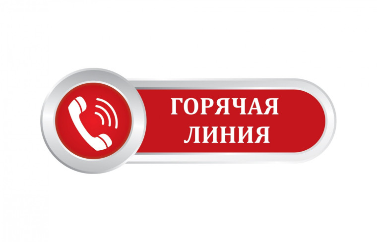 О работе «горячей линии» по вопросам качества и безопасности детских товаров, по выбору новогодних подарков.