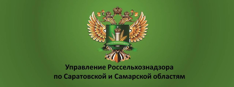 Управление Россельхознадзора по Саратовской и Самарской областям информирует.