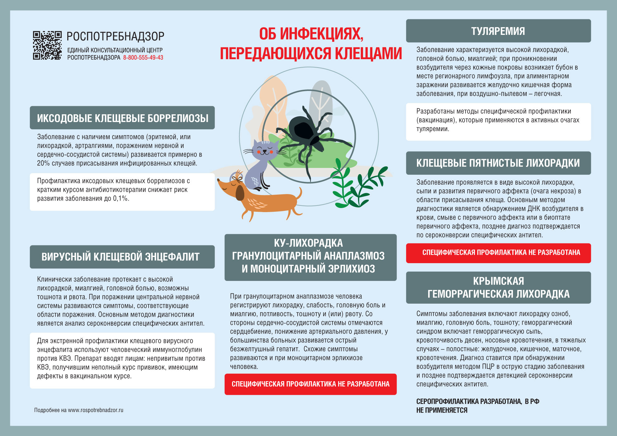 Актуально: вспоминаем об инфекциях, передающихся клещами.
